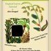 Tropical Leaves Tutorial