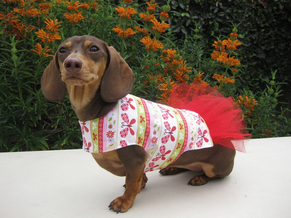 Dog Tutu Dress Butterflies Red