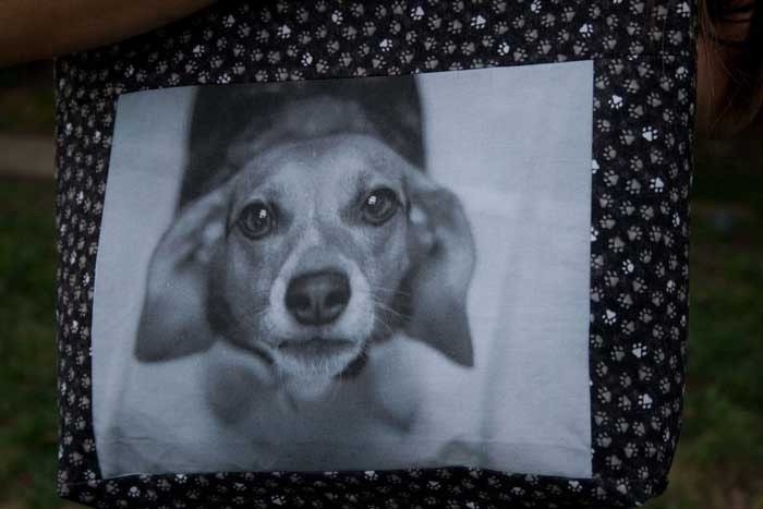 Tote Bag, Dog, Custom Photo