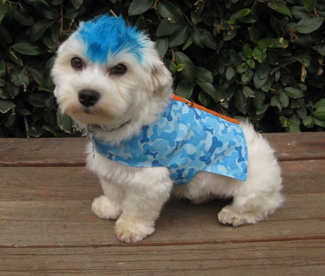 Dog Clothes Vest Blue Bone Camo