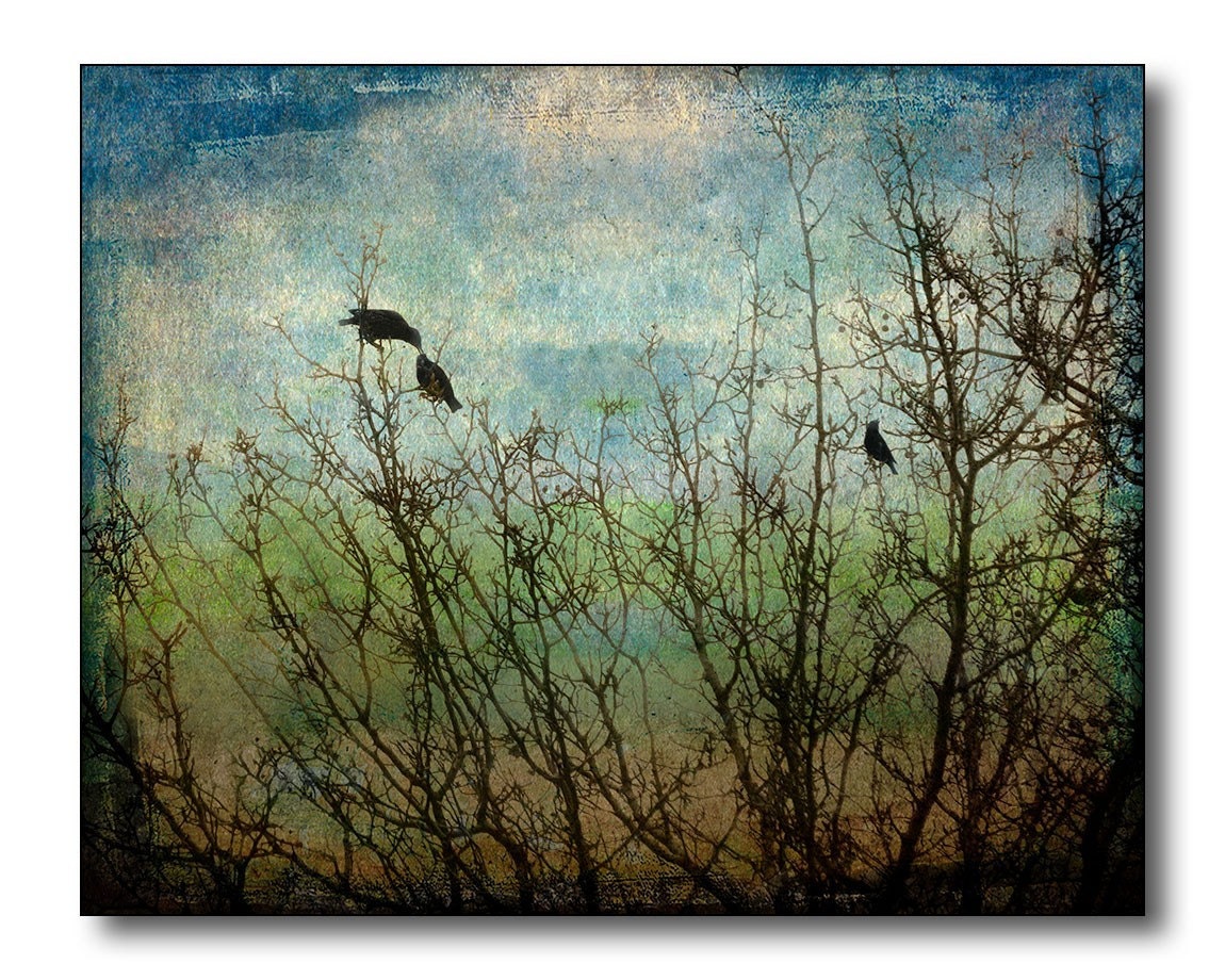 Birds and Trees Fine Art Photography, Photographic Print Overlayed With Blue And Green And Brown Watercolor