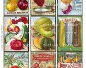 Digital Scrapbook -  Vintage Seed Catalogue -Ephemera - ATC - 2.5x3.5" - Background  - Vegetables - Collage Sheet - SP3