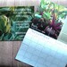 Celebrating Our Local Harvest 2010 wall calendar