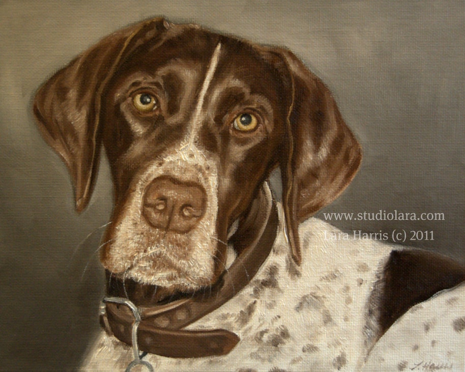 8x10 German Shorthaired Pointer Dog Fine Art by studiolara316