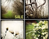 Sale - Any four fine art photography prints at 5x5 or 5x7