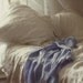 My Bed - 8X8 Fine Art Print