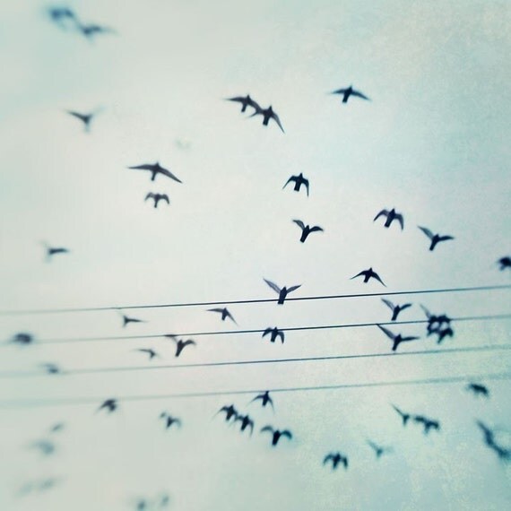 Passing By 8x8 Signed Print