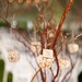 25 Wedding Favors Birds Love, Personalized Bride & Grooms Name by Nature Favors