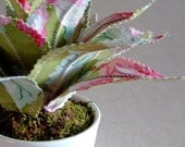Sweet Potted Fabric Plant - Pink Roses Aloe