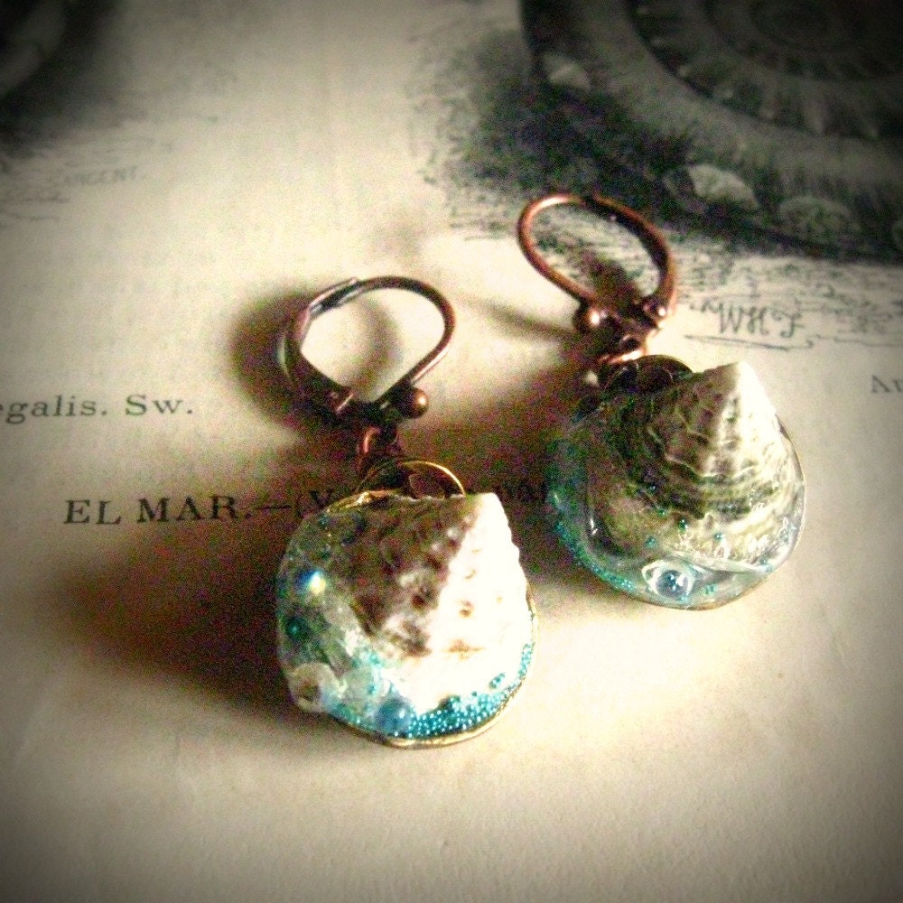 sea  earrings Nautilis Regalis ocean shell dangles - MiddleEarths