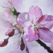 Cherry Blossom, original acrylic painting