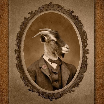 5x7 inch Hot Digital Dog Toggenburg Buck Goat William