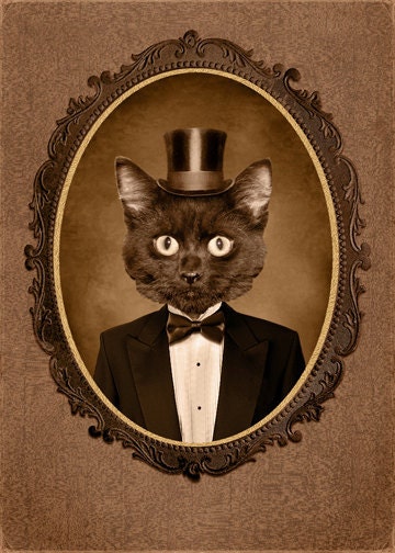 NEW  5x7 inch Hot Digital Dog Boo Kitten