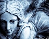 Heaven Sent Cyanotype Fine Art Photograph 8x12