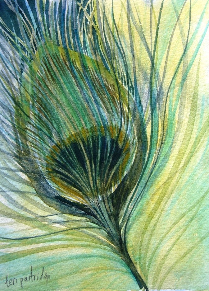 Peacock Feather Study - Original Watercolor