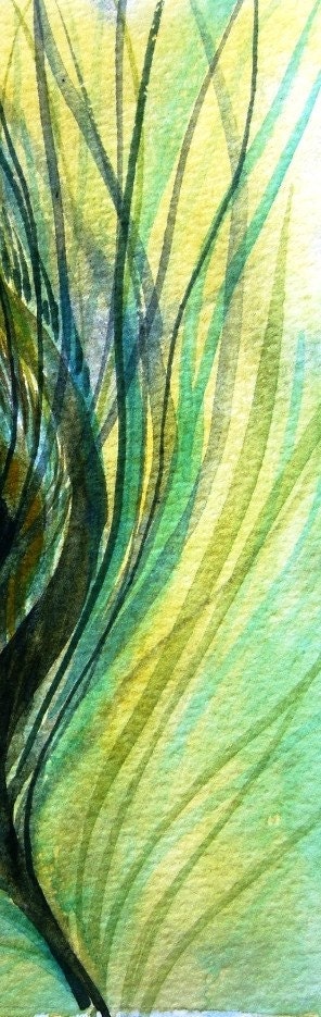 Peacock Feather Study - Original Watercolor