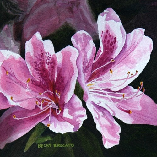 Print of Spring Azalea watercolor