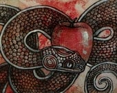 Original Snake / Serpent / Animal / Tribal / Mixed Media Apple / Fruit Painting by Lynnette Shelley
