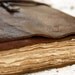 The Preservator