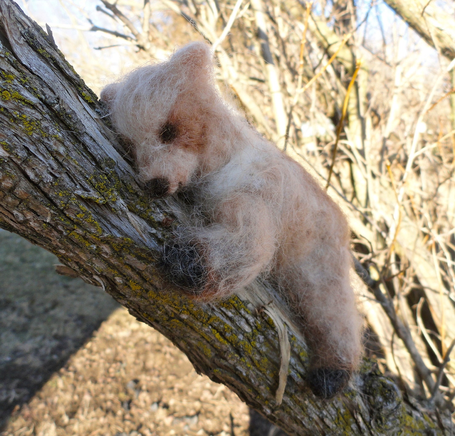 Wool Blonde Grizzly Bear Cub, Teddy Bear, Needle Felted