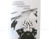They Say It's Your Birthday Pug Greeting Card