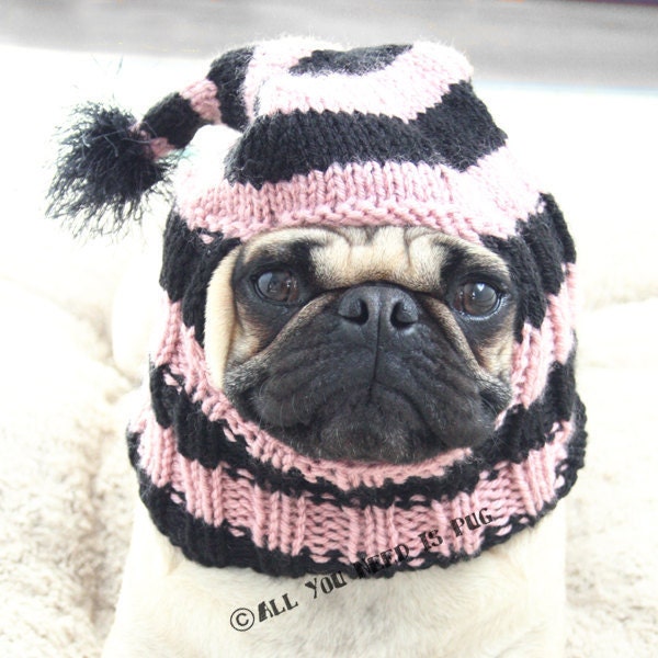 Dog Hat - Custom Stocking Cap