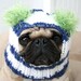 Dog Hat - Custom Snuggly Hat - The Original Pug Hat
