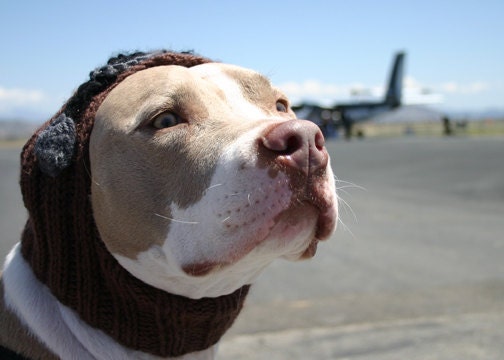 Dog Hat - Aviator Hat with Goggles for Large Breeds