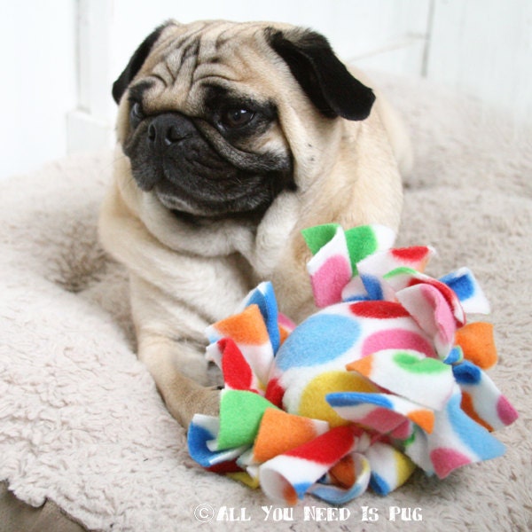 Rainbow Polka-dot Tag Toy for Dogs