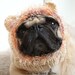 Lion Dog Hat