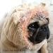 Lion Dog Hat