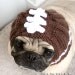 Football Helmet Dog Hat
