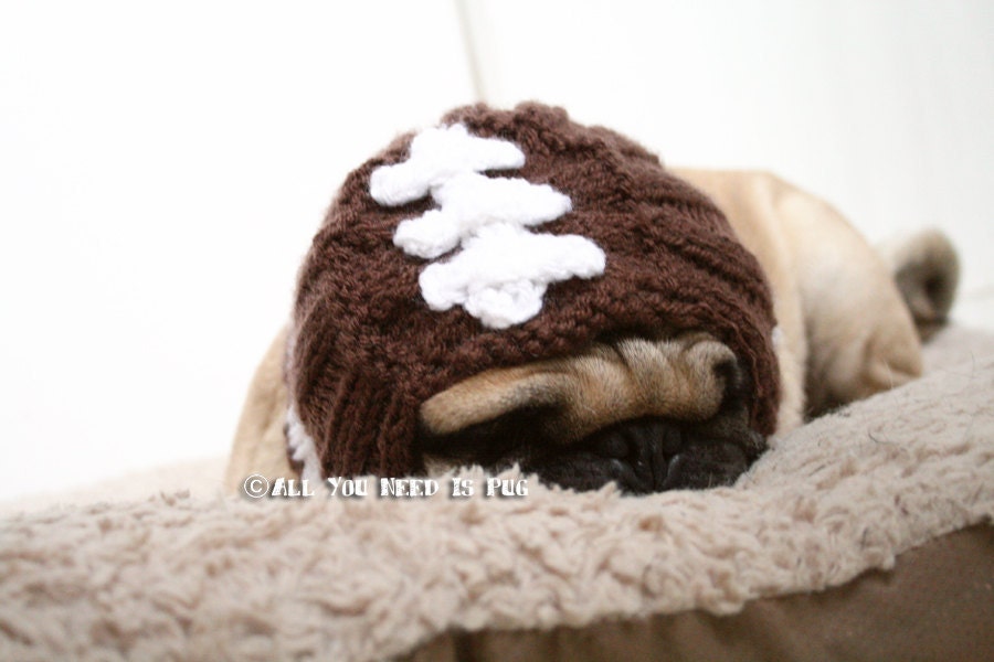 Football Helmet Dog Hat