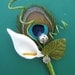 Peacock and Calla Lily Boutonniere