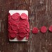 Garland of Felt Fanfare in Strawberry