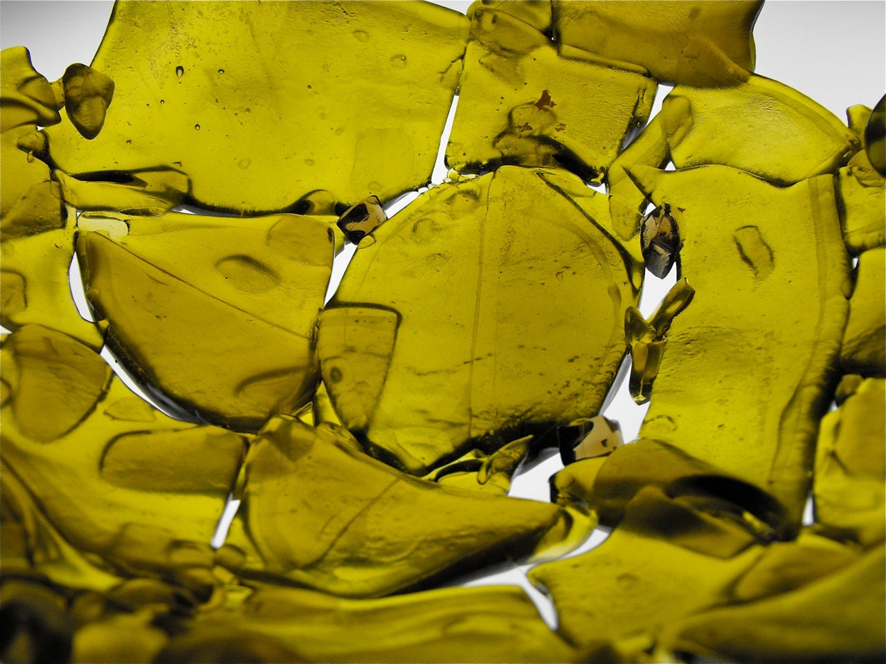 Broken Bottle Bowl - Chardonnay