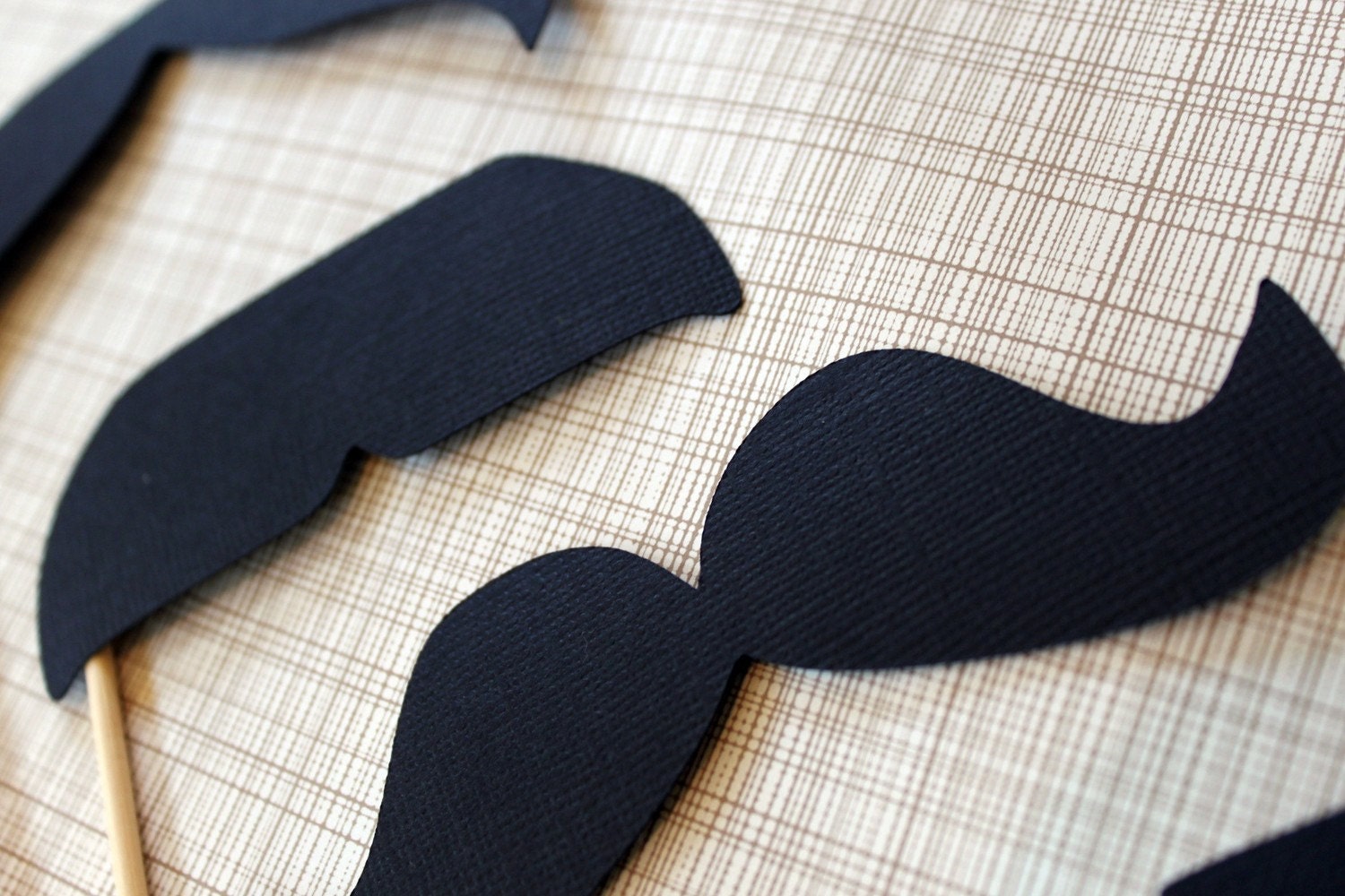 Movemeber Mustache on a Stick Collection - Set of Eight Mustaches on a Stick