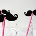 Custom Listing for brendamcna - 6 Mustache and Pink Straws and 6 Lip and Black Straws