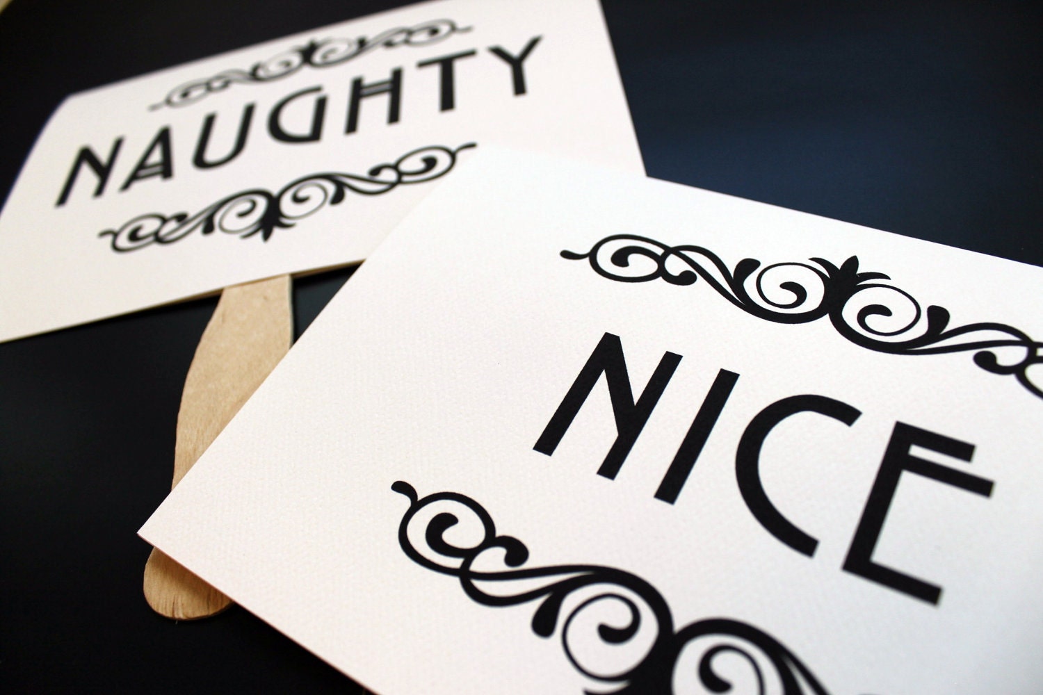 Photo Prop. Naughty and Nice Photo Prop. Double Sided Paddle Signs
