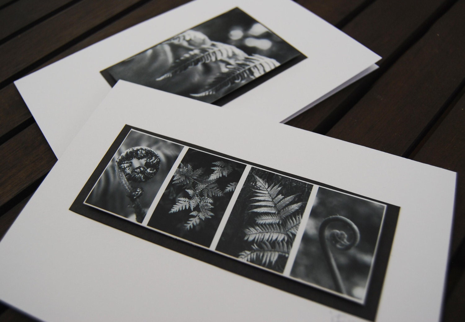 Gift Cards New Zealand Fern Photo Black and white x 2 nature theme
