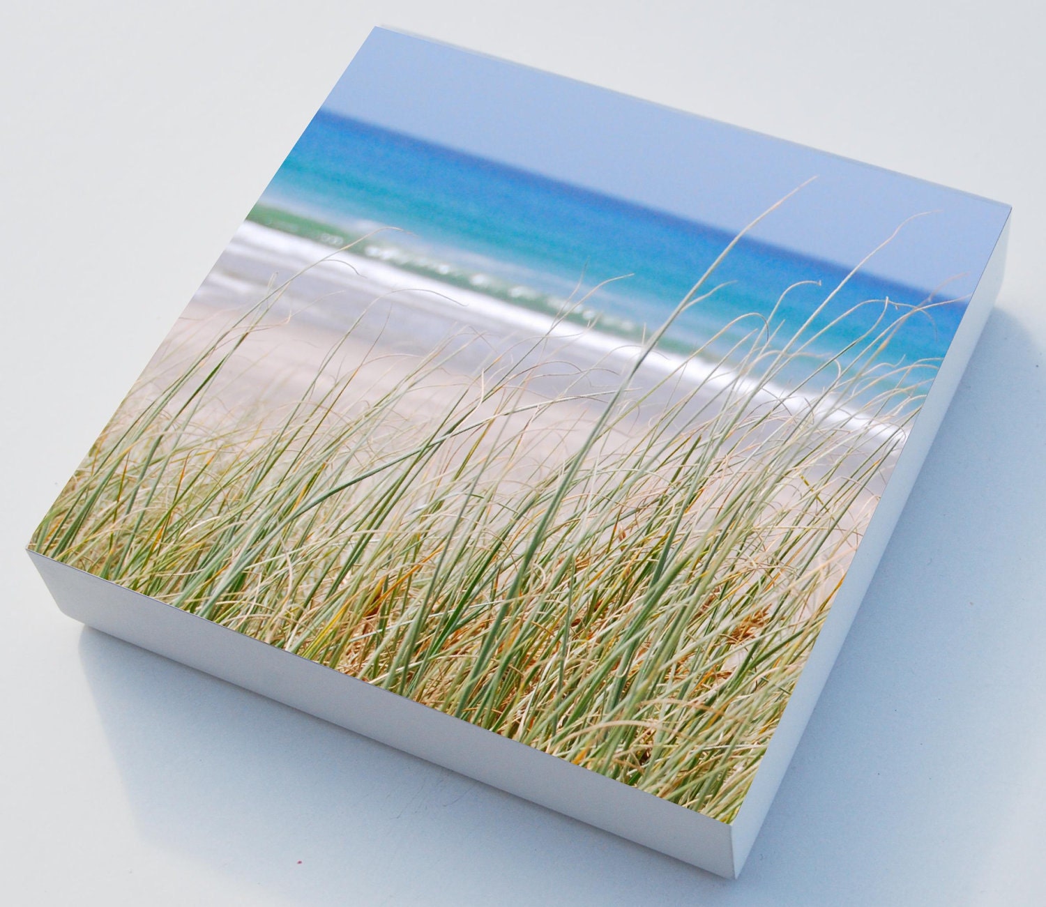 Beach grass photo blocks x 3 beach art - home decor, beach wall art - NewCreatioNZ