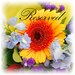 Etsy Banner Spring Flowers