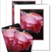 Pink Rose with raindrops PRINTABLE photo Lady Barbara - wall art - flower photography  mothers day gift  8x10, 10x10, 16x20, 11x14, 20x30
