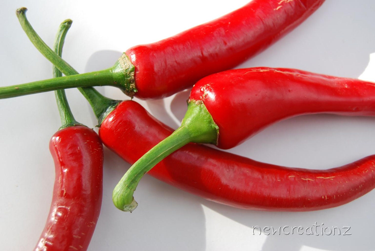 Red Chilli pepper printable Photographic wall art - Red kitchen art