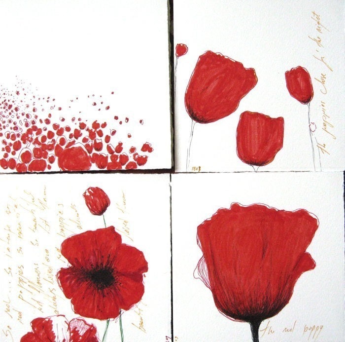 Poppies - collection of 4 prints/ note cards