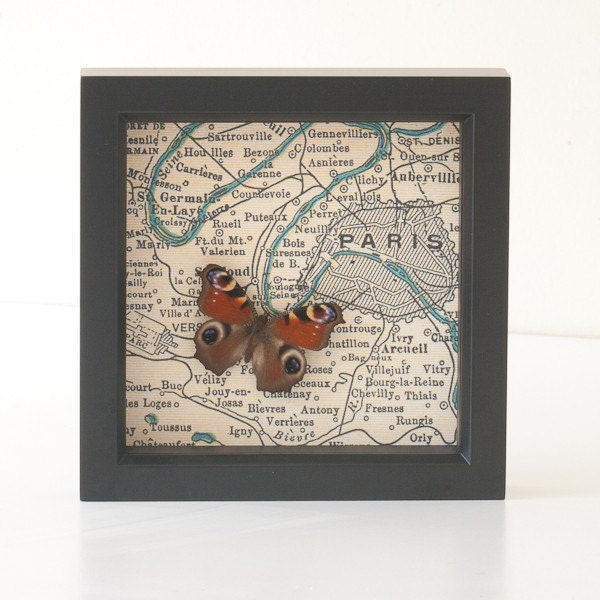 Paris Map with Native Butterfly - Inachis io
