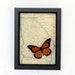 Antique Map of Georgia with Monarch Butterfly