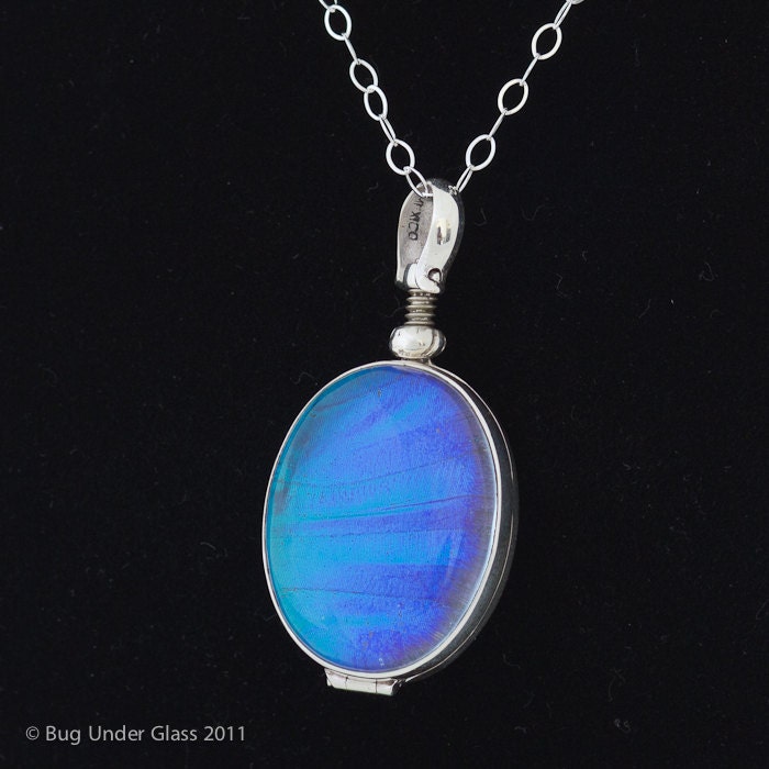 Real Butterfly Wing Necklace Blue Morpho