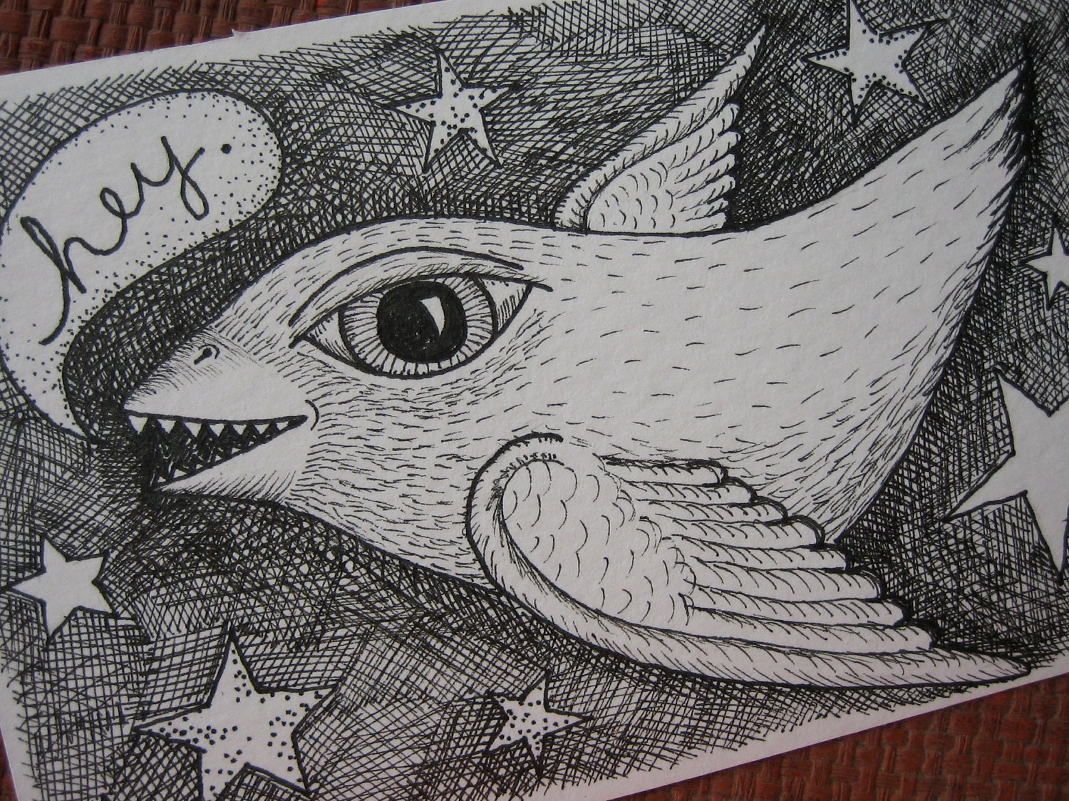 original pen and ink drawing of a flying bird by patti backer