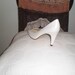 caressa shoes